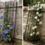 98cm H x 54.5cm W Metal Gothic