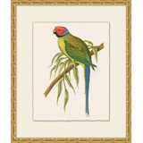 Tropical Parrot 6 Painting