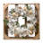 Handcrafted Preserved Shells 20'' Wreath-1427567844