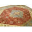 Wool Oriental Area Rug in Rust/Beige