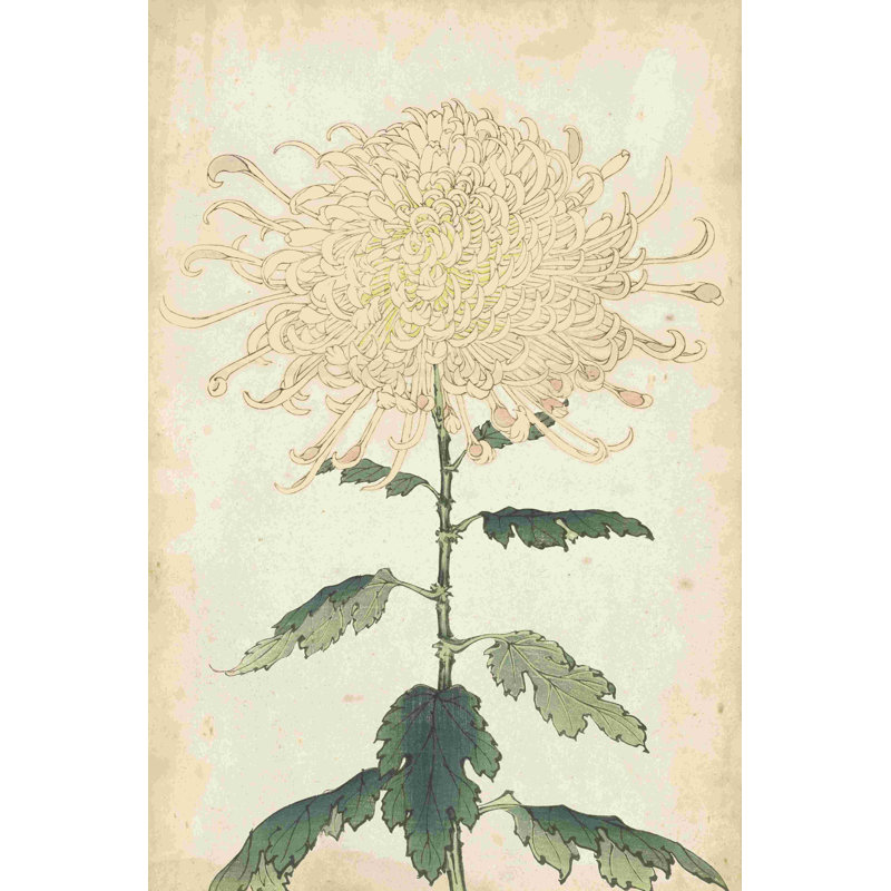Elegant Chrysanthemums III, H 18 po x l 12 po