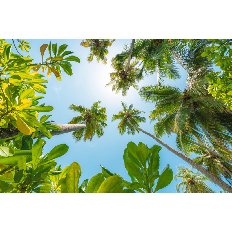 Wrapped Canvas Print, 60.96 cm H x 91.44 cm W