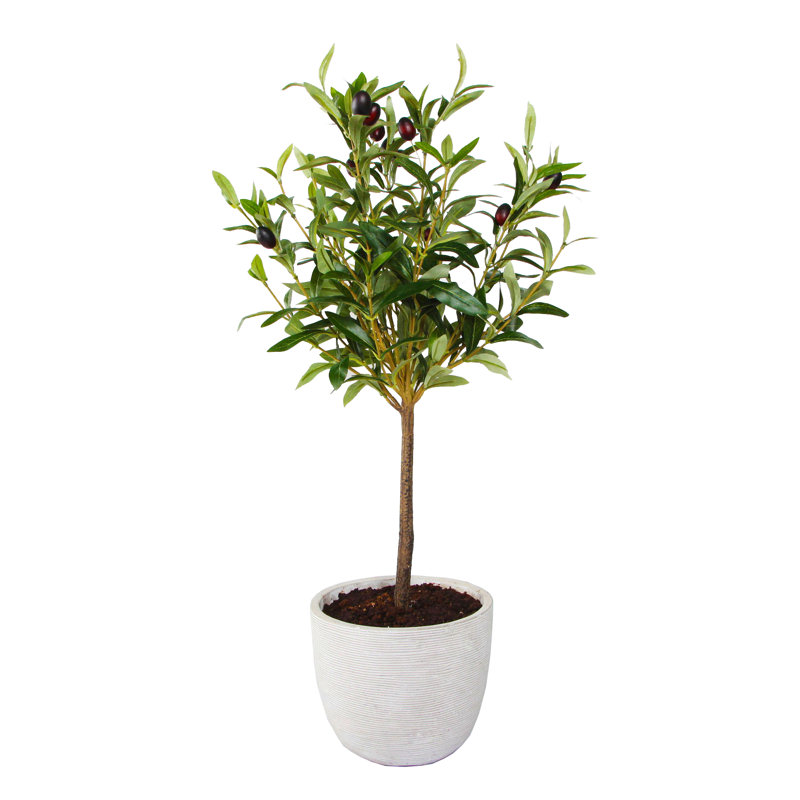 28'' Faux Olive Tree Tree in Pot