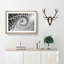 Spiral Staircase - Picture Frame Painting Print-56705268-56705269