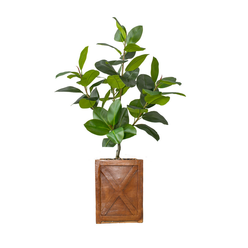 63'' Faux Rubber Plant Tree in Fiberstone Planter
