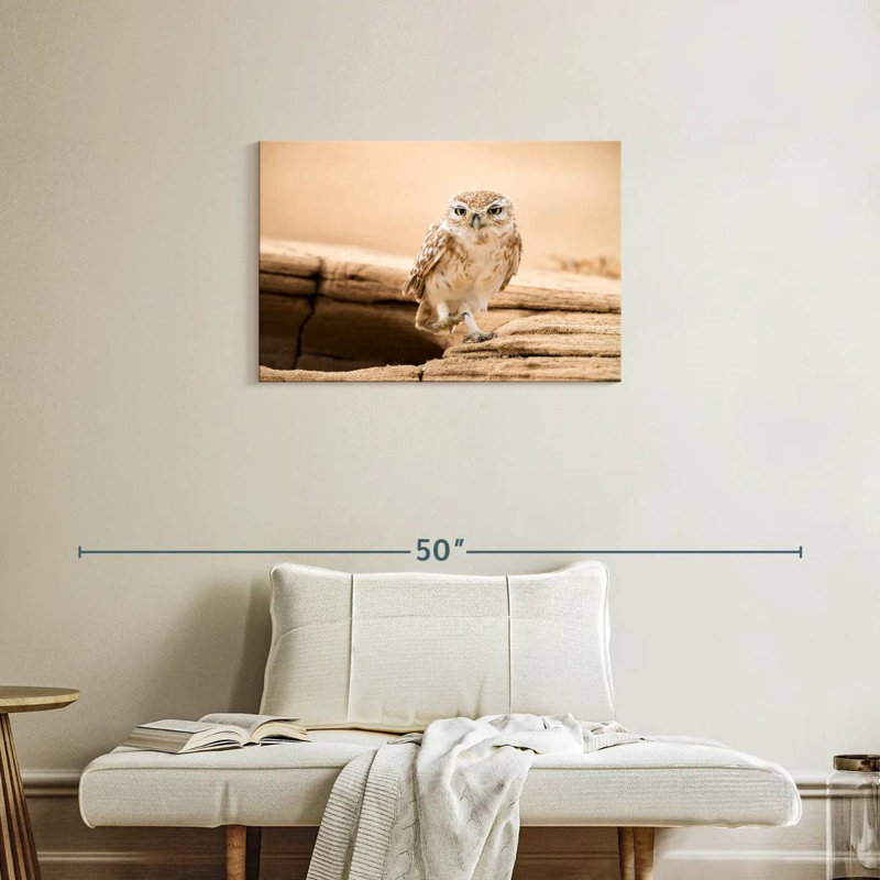 Brampt Desert Owl, 20" H x 30" W