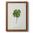 " Lucky Charm I " Painting Print-271137260-282792901