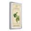 Linnaean Botany V - peinture sur toile encadrée-1872804157-1872804097