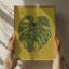 Monstera Leaf-343989382-343989433