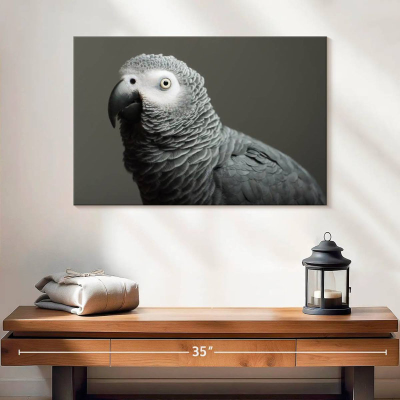 African Grey Parrot, 16" H x 24" W