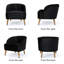 Fauteuil Aaraon-1570011033