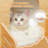 Modern Cat Tree Rocket Cat Tower