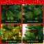 Arbre de Noël artificiel régulier (double) avec aiguilles vertes