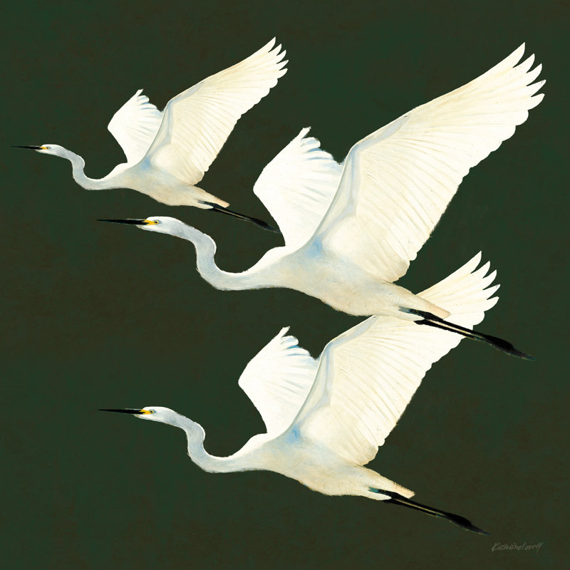 «Egrets Alighting II On Green on Canvas» par Kathrine Lovell, reproduction, H 12 po x l 12 po x P 1,25 po
