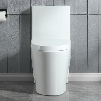 1.1/1.6 GPF Dual-Flush Elongated One-Piece Toilet with 17.13 in. Comfort Seat Height, Ceramic Glazed Surface(Soft Close Seat Included), Glossy White