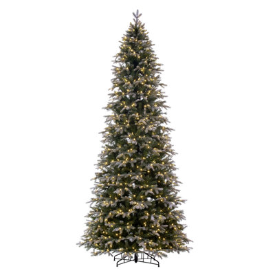 Hadewig 10' Lighted Fir Christmas Tree
