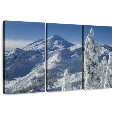 Alvord Snowy Mount Baker