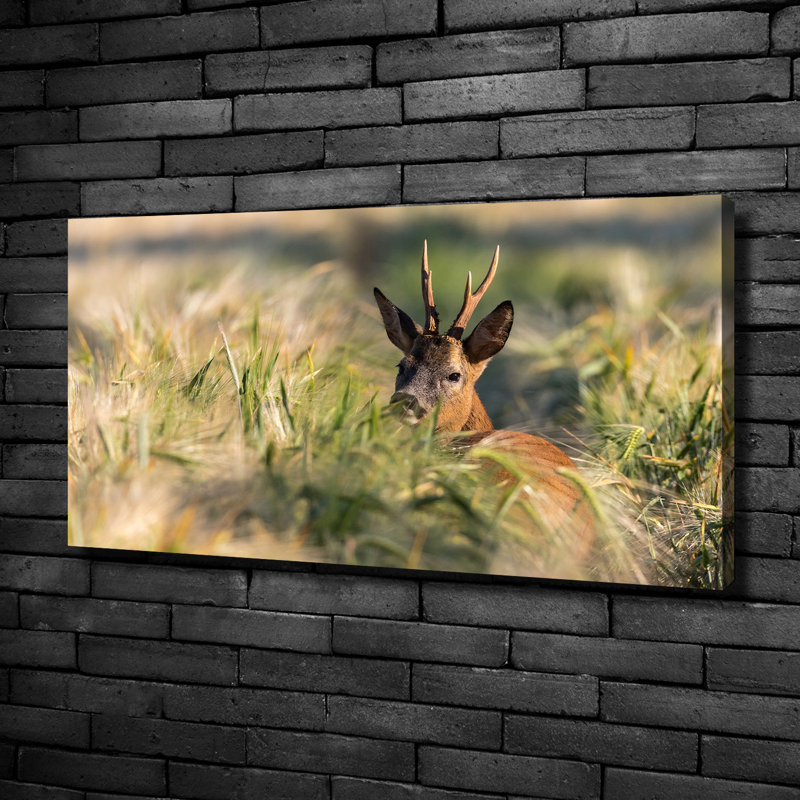 Deer In The Field - No Frame Print on Canvas