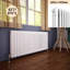 Skyla Horizontal Traditional Colosseum Radiator-1910929567