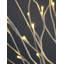 LED Holiday Lighting