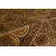 Hand Woven Wool Oriental Area Rug