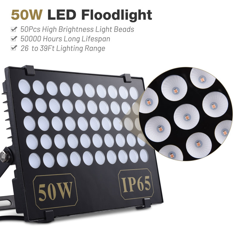50-Watt LED Flood Light (pack of 2)