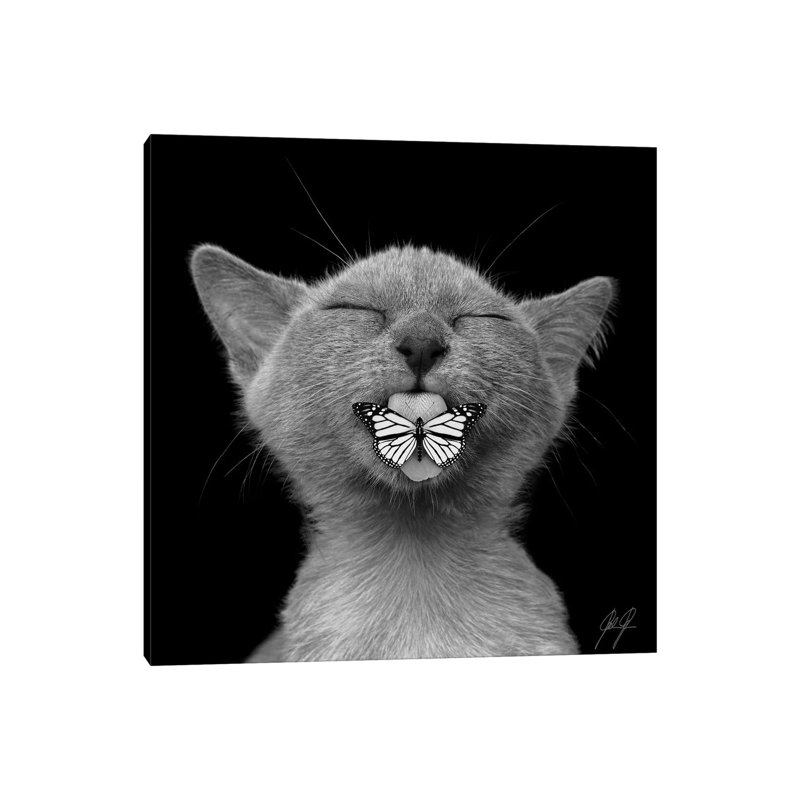 Baaahhh by Kathrin Federer - Wrapped Canvas Print, 93.98 cm H x 93.98 cm W