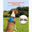 Harnais pour chien avec grand chien
