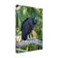 « black vulture », reproduction de photo sur toile tendue-26855951