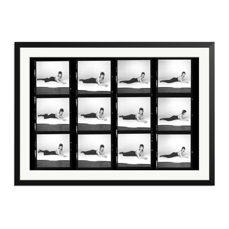 The Diamond Dogs Contact Sheet, Black, 27" H x 38" W