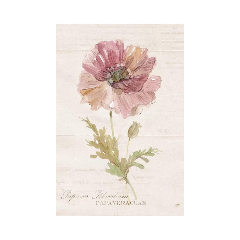 Soft Poppy by Carol Robinson - Painting on Canvas, Wrapped Canvas, 30.48 cm H x 45.72 cm W