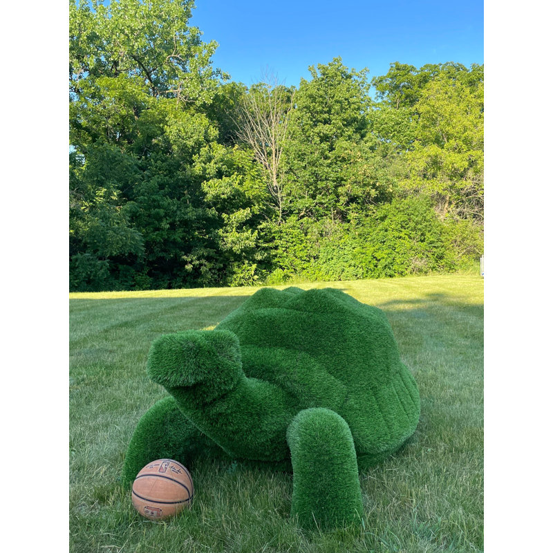 Tortue animalière extérieure