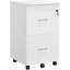 40cm Wide 2 -Drawer Mobile File Cabinet-869435987