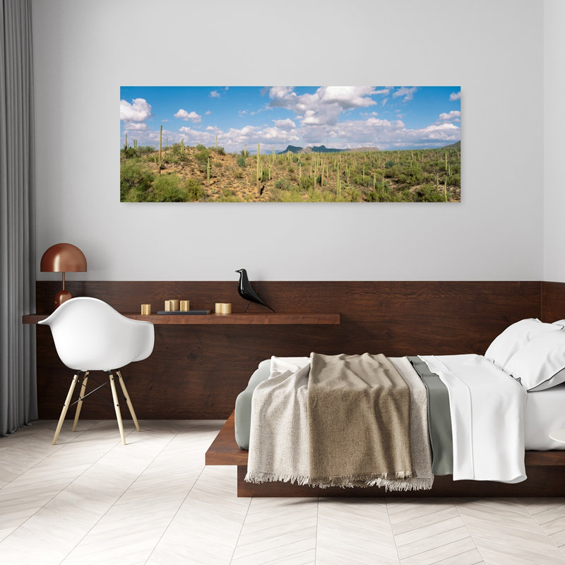 Saguaro National Park, Tucson, Az, États-Unis, H 20 po x l 60 po