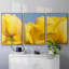 Jaune soleil I 3 pièces-526785691-526785692