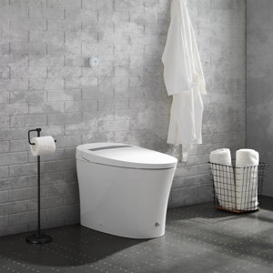 https://assets.wfcdn.com/im/24370423/resize-h300-w300%5Ecompr-r85/1501/150119838/Hugo+Smart+Tankless+Elongated+Toilet%2C+Touchless+Vortex%C2%99+Dual-Flush+1.1%2F1.6+gpf.jpg