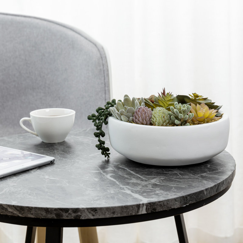 Fausse plante grasse en pot 4,3 po