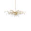Aviva Stanoff 8 - Light Chandelier