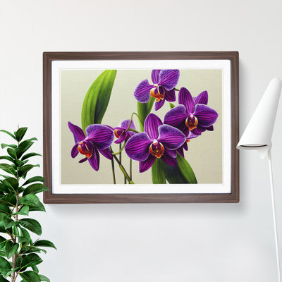 Intriguing Orchid Flowers 1 Piece Single Picture Frame Wall Art