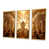 Toile avec cadre flottant or