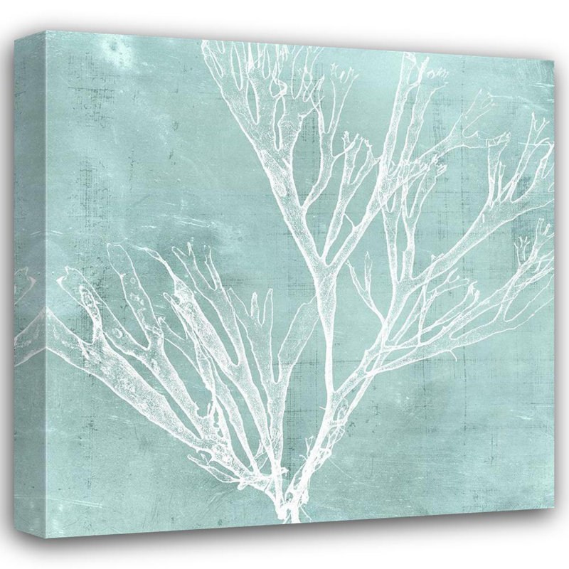Art sur toile tendue Dovecove Vision Studio Gallery: Seaweed on Aqua VII, H 36 po x l 36 po