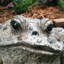Statue de jardin classique "Earl" Toad Hollow-1476390756