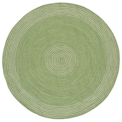 Braided Hand Woven No Pattern Indoor Rug