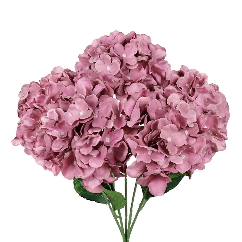 Hortensia de luxe, Mauve