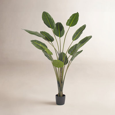 Jorah 84" Tree with Base Included