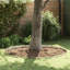 10cm H x 450cm W Stainless Steel Lawn Edging
