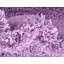 Dekari Shag Area Rug-26464663