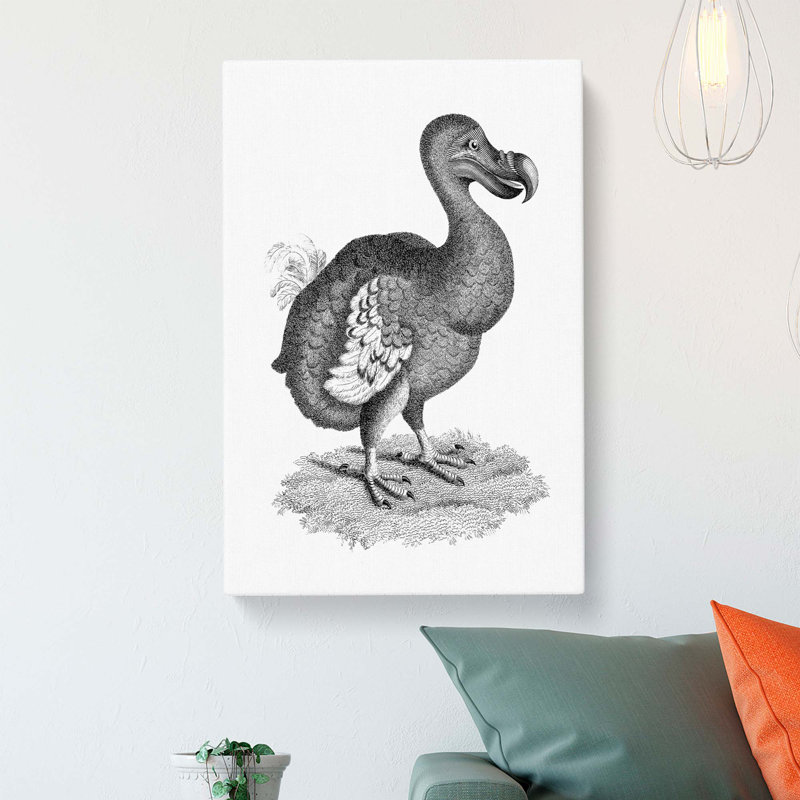 Dodo In Black & White by George Shaw - Wrapped Canvas Print, 60cm H x 40cm W x 3cm D