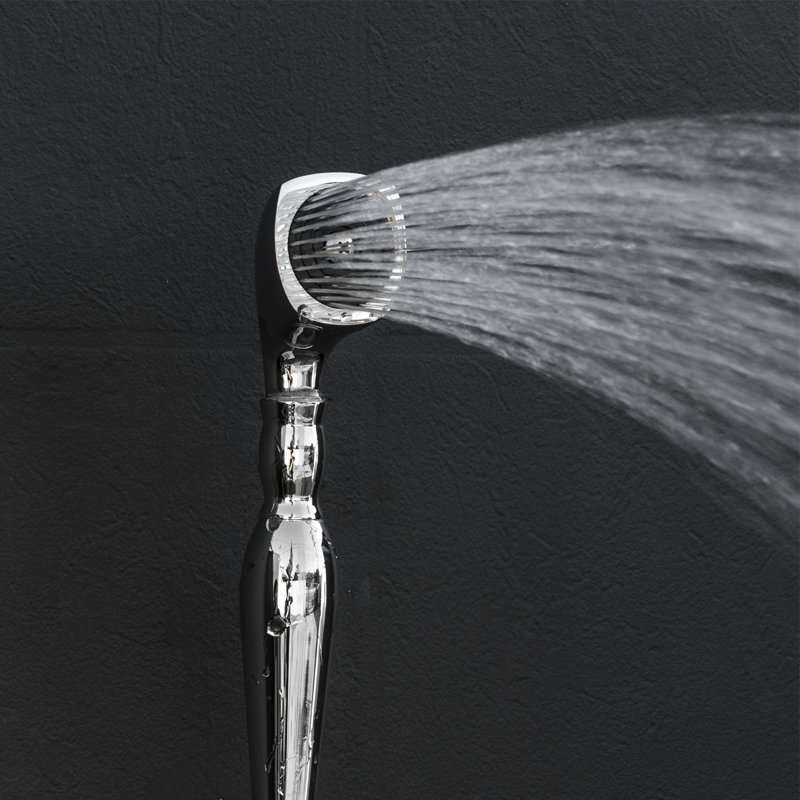 Garniture de robinet de baignoire sur pattes à poignée simple avec inverseur et douche à main