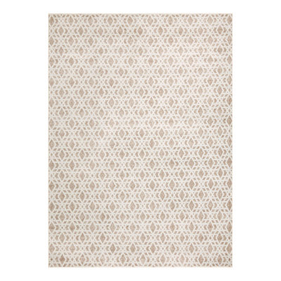 Fethiye Botkins Rug